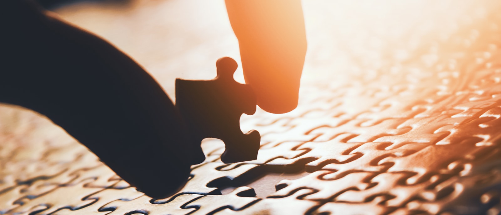 Betri Trygging - Starvsvenjing